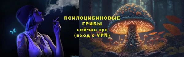 эйфоретик Алзамай