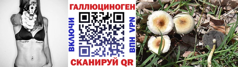 Псилоцибиновые грибы прущие грибы Купить Саяногорск